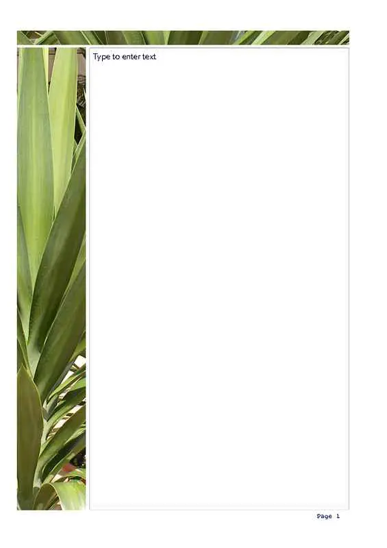 Aloe Vera Leaves Photo Stationery