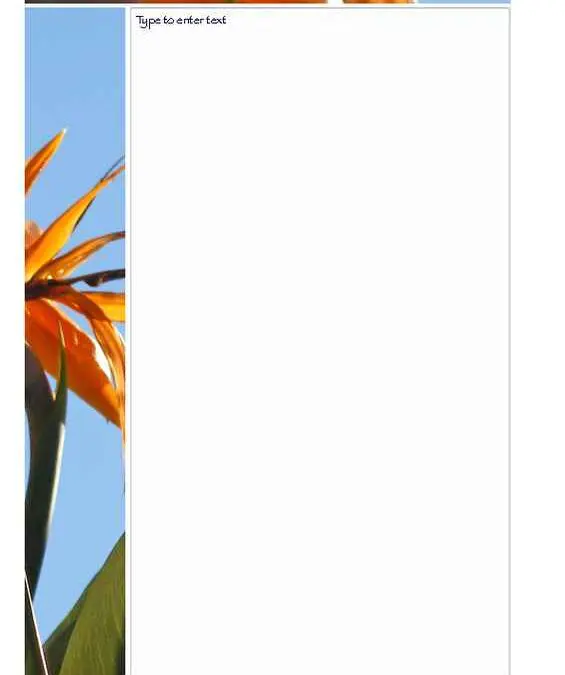 Bird of Paradise Photo Stationery