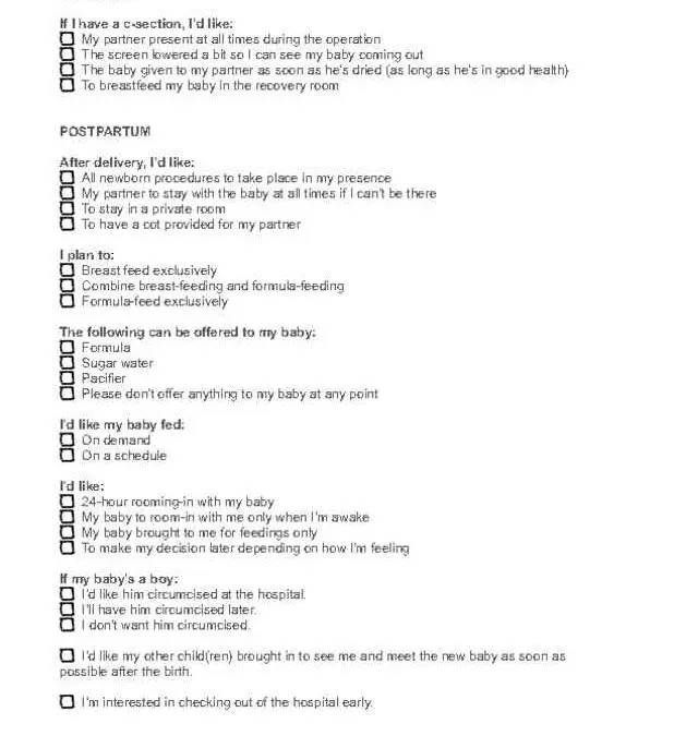Birth Plan Checklist Page Three