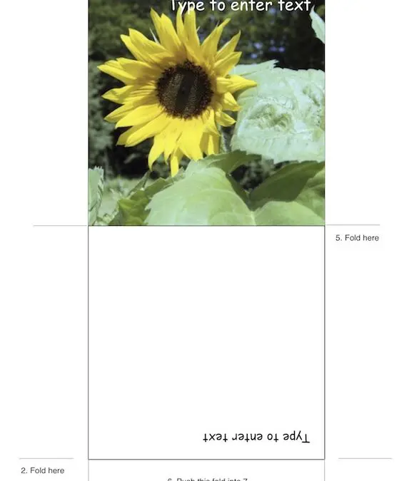 Folded CDDVD Sleeve with Photo Placeholder