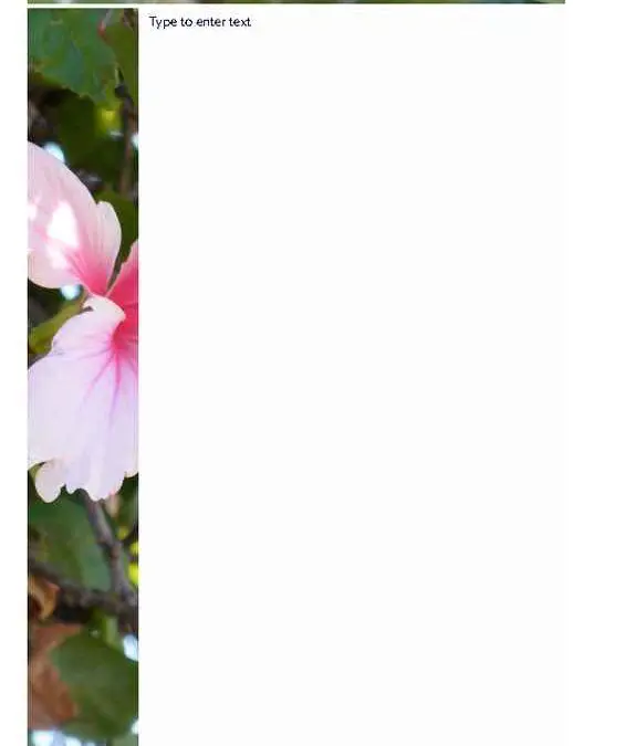 Hibiscus Photo Stationery