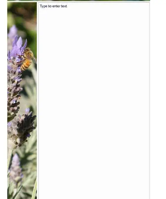 Lavender and Bees Photo Stationery