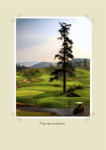 Photo Album on Green Background One Picture