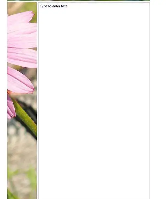 Pink Daisy Photo Stationery