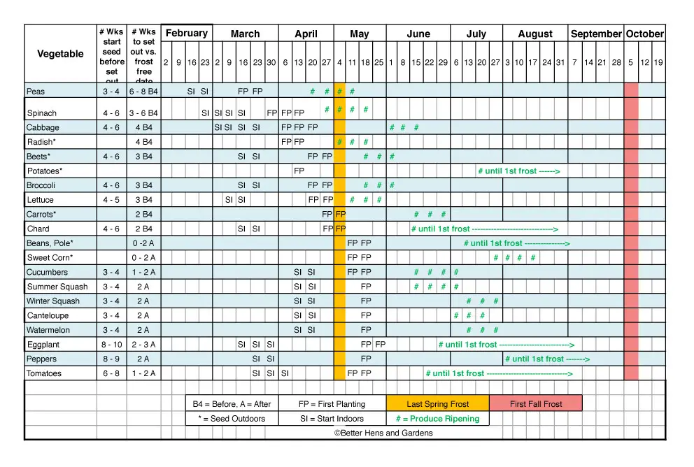Seed Planting Guide Table