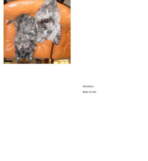 Simple Blank Notecards in 2 Orientations