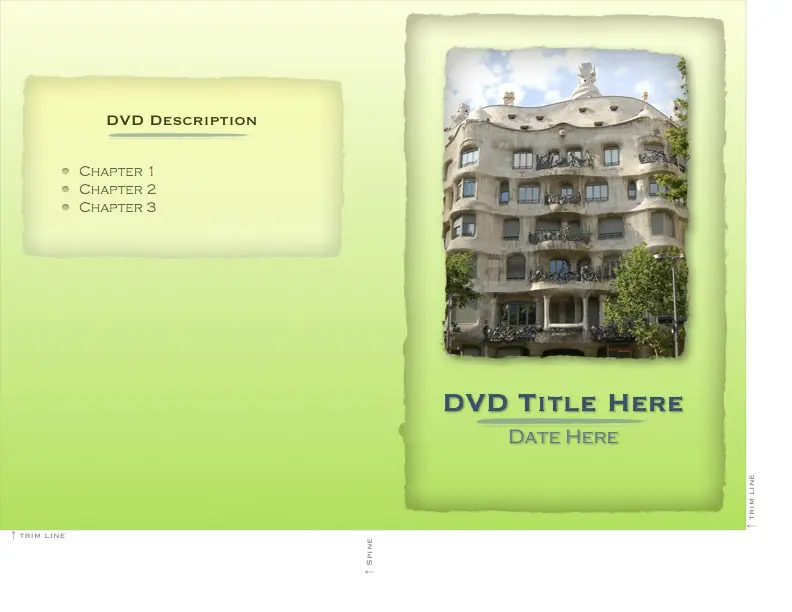 Slim DVD Sleeve Insert with Green Background