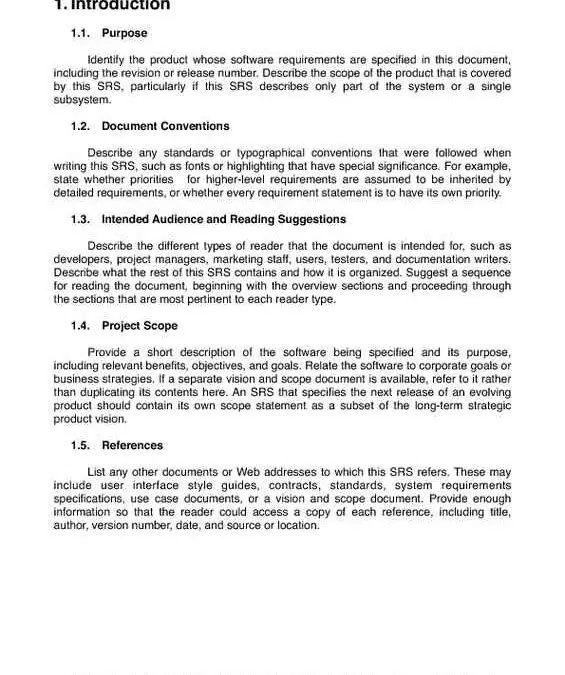 Software Requirements Report Text