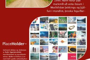 Red and White Professional Flyer