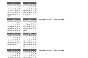 2009 Yearly Calendar with 3 Photos