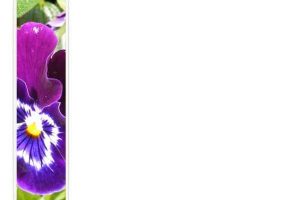 Floral "Happy Easter" Stationery