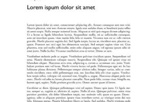 Chapter Book with Title Page and Table of Contents