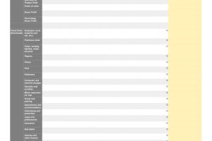 Profit and Loss Accounting Workbook