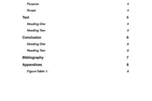 Formal Research Report