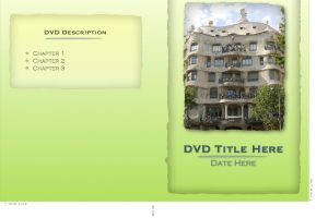 Slim DVD Sleeve Insert with Green Background