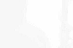 Bird Watermark Stationery