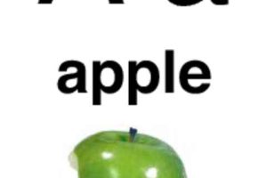 3x5 Alphabet Flashcards with Photos