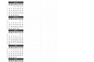 2008 Black and White Calendar