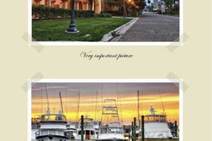 Photo Album on Green Background