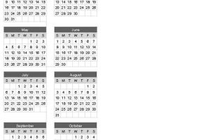 2008 Single-Page Calendar with Picture