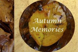 Autumn Accents Poster