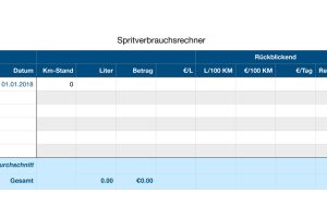 Simple Fuel Cost Calculator in Blue (German)