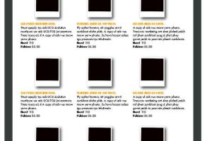 14-Page Black and Orange Catalogue
