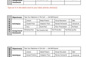 Weekly Lesson Plan Checklist (Portrait)