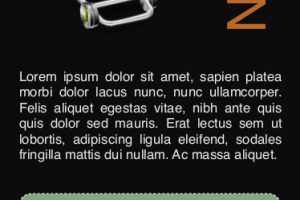 95mm x 210mm Novelty Flyer